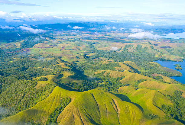 Aerial photo. New Guinea stock photo