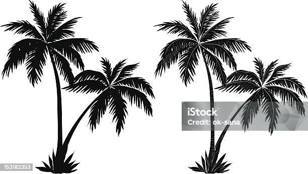 Palm Trees Black Silhouettes Stock Illustration - Download Image Now - Palm Tree, Two Objects, Black And White