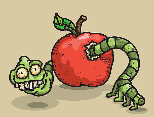 Worm and apple sarcastic worm looks out of an apple caterpillar eating apple stock illustrations