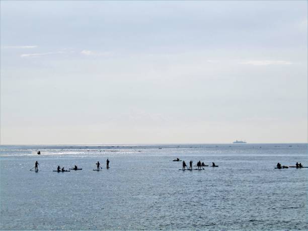 Boso peninsula, Chiba prefecture.