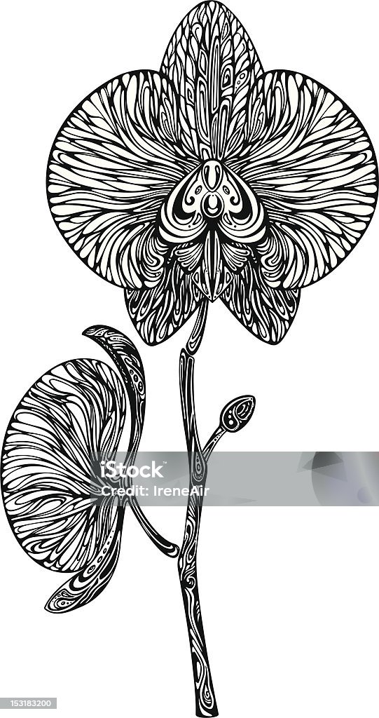 Orchid - Grafika wektorowa royalty-free (Abstrakcja)
