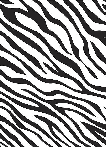 illustrazioni stock, clip art, cartoni animati e icone di tendenza di motivo a strisce di zebra - animal color