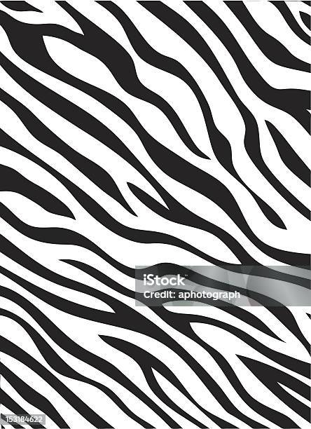 Zebra Stripes Pattern Stock Illustration - Download Image Now - Zebra Print, Animal Pattern, Vector