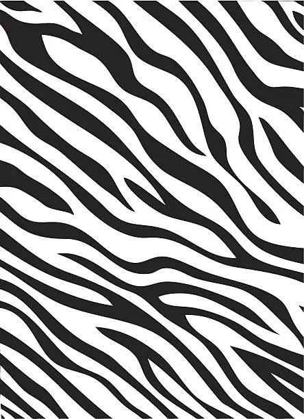 Vector illustration of Zebra stripes pattern