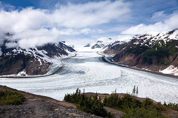 Salmon Glacier Salmon Glacier at Hyder Alaska salmon glacier stock pictures, royalty-free photos & images