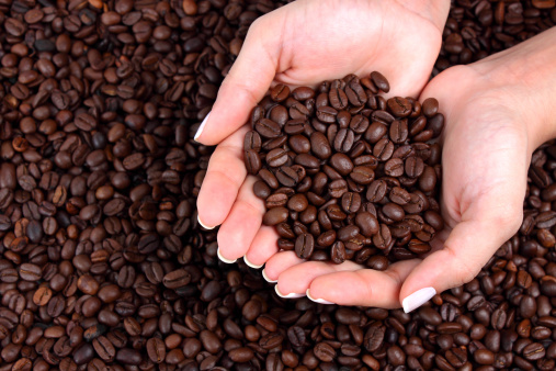 woman holding many coffee beans