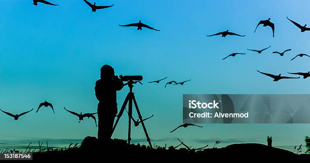 Silhouette Di Uccello Osservatore - Fotografie stock e altre immagini di Osservare gli uccelli - Osservare gli uccelli, Binocolo, Uccello