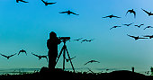 Bird Watcher Silhouette