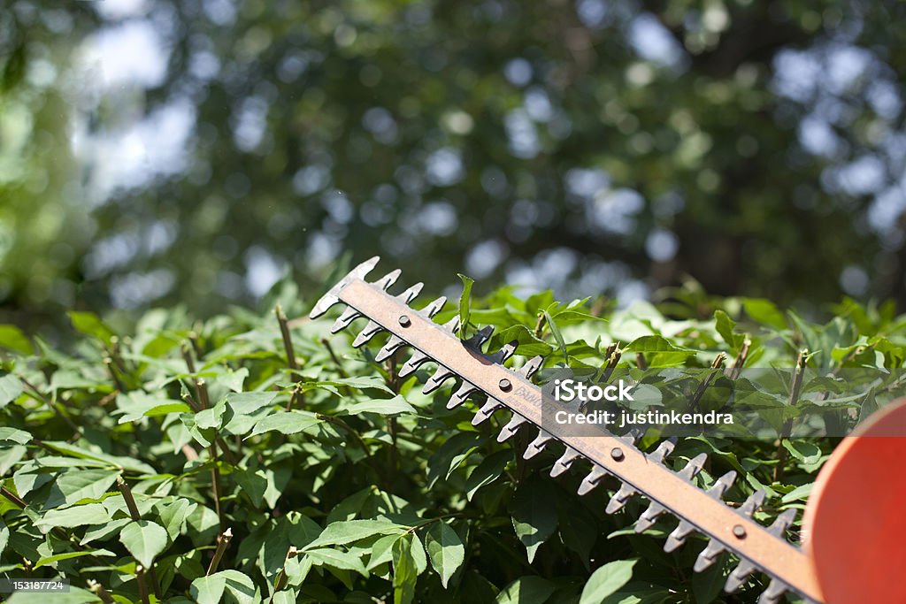 Entlang des Büschen - Lizenzfrei Arbeiten Stock-Foto