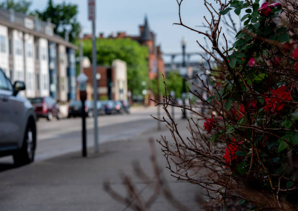 istock Sidewalk City Flowers 1531881592