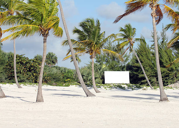 istock land for sale 153188486