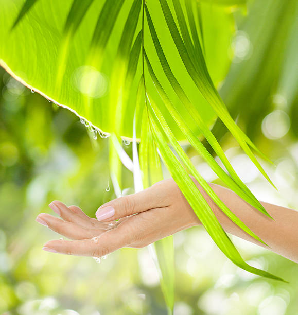 Beautiful Female Hand on the green background stock photo