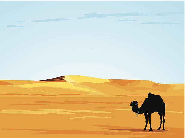 砂漠の景観 ベクターアートイラスト
