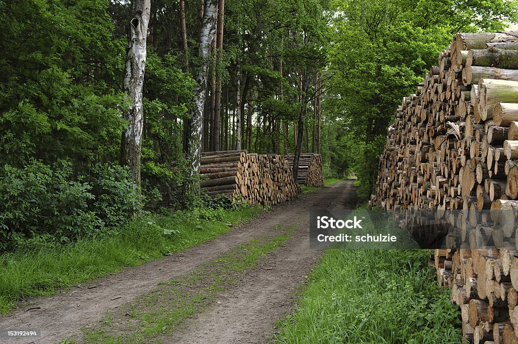 Armazenamento de madeira - Foto de stock de Abstrato royalty-free