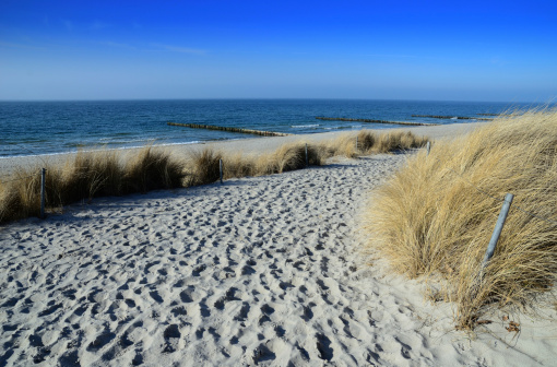 Path through sand dunes