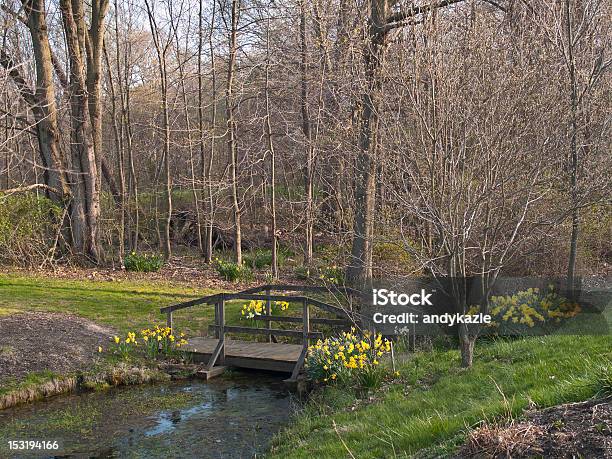 Frühjahr Stockfoto und mehr Bilder von Bach - Bach, Blume, Brücke