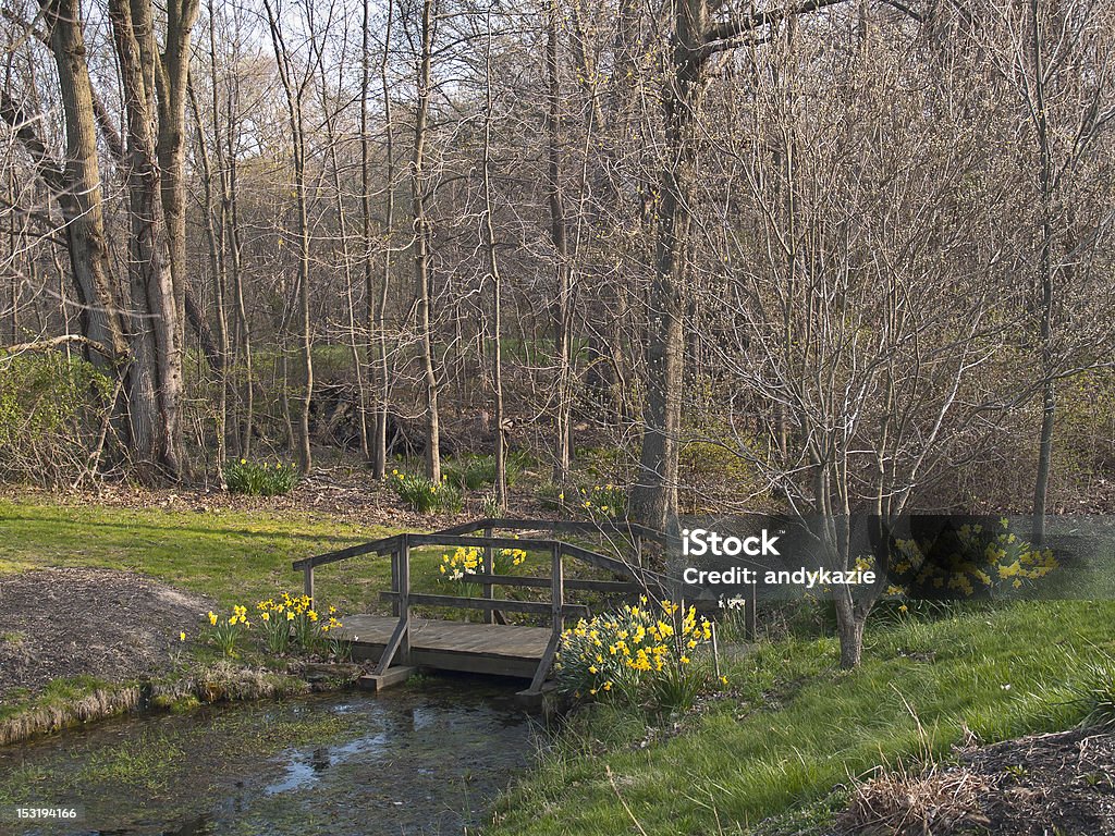 Début du printemps - Photo de Bois libre de droits