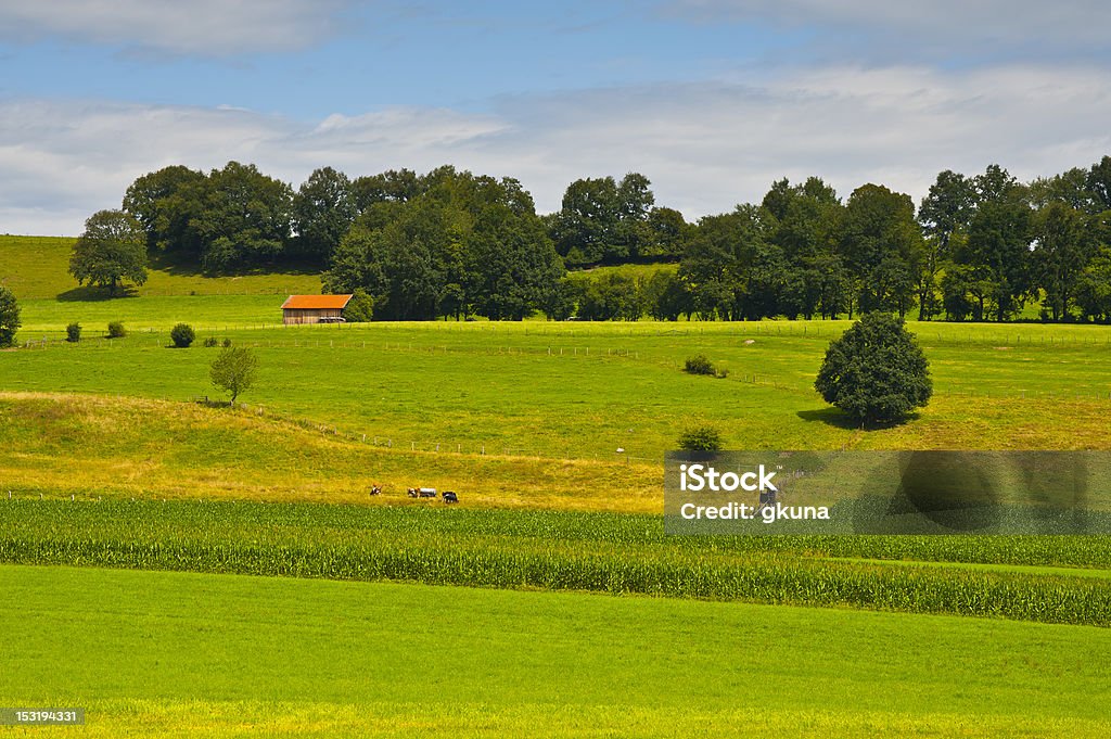 Deutschland Landschaft - Lizenzfrei Agrarbetrieb Stock-Foto