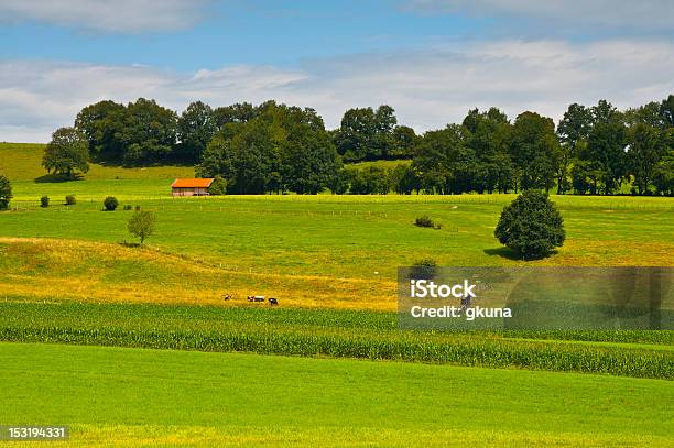 Photo libre de droit de Paysage En Allemagne banque d'images et plus d'images libres de droit de Agriculture - Agriculture, Allemagne, Arbre