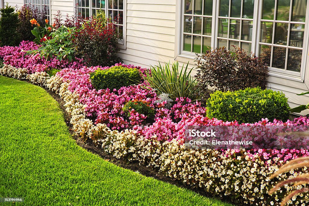 Colorful flower garden Flowerbed of colorful flowers against wall with windows Landscaped Stock Photo