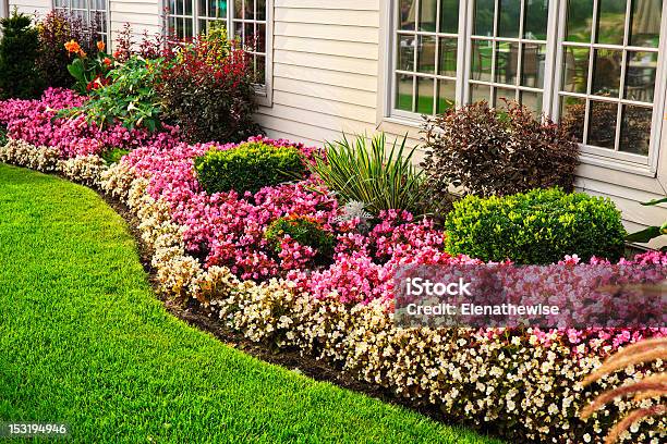 Colorful Flower Garden Stock Photo - Download Image Now - Landscaped, Yard - Grounds, Flowerbed