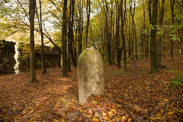 jude cementery inkazimierz on the midle of the forest, a beatuty and mistry photo and place in Poland