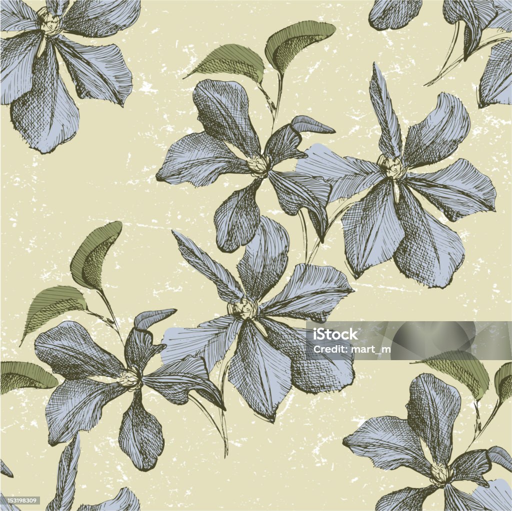 floral seamless ornament Seamless ornament wih hand drawn clematis flowers - vector. Clematis stock vector