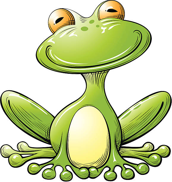 Frog vector art illustration