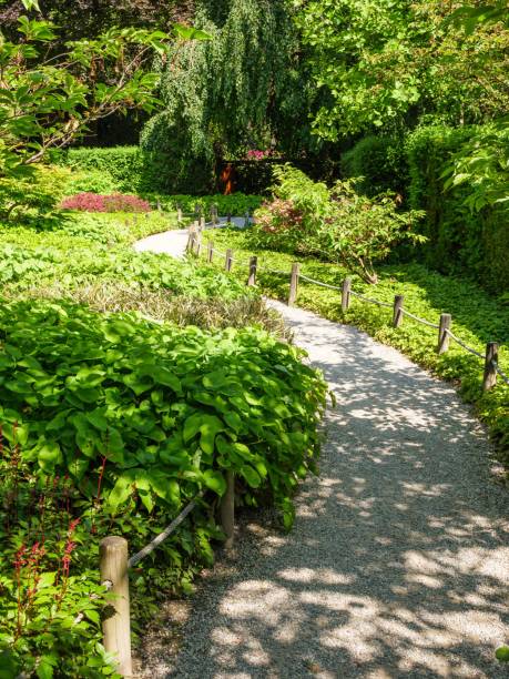 istock Scenic pathway leading through a lush, green park with multiple trees and grass 1532026506