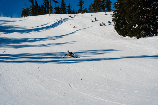 Wide view looking up toward an elite level adaptive athlete who is adaptive mono skiing riding down the mountain toward the camera on a sunny winter day.