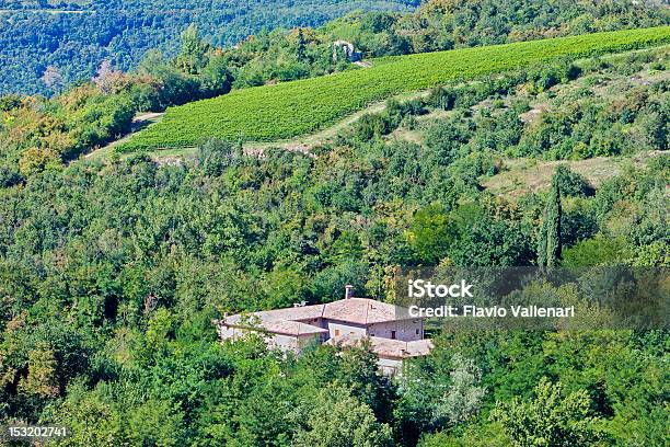 Foto de Valpolicella Interior Itália e mais fotos de stock de Colina - Colina, Agricultura, Ajardinado