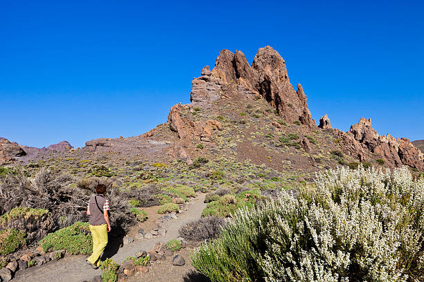 istock Walking in Teide National Park, Tenerife 153203564