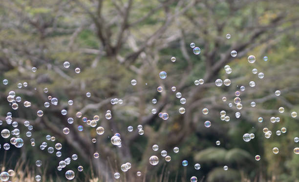 istock Soap bubbles on a green background with plants in the background. 1532037126