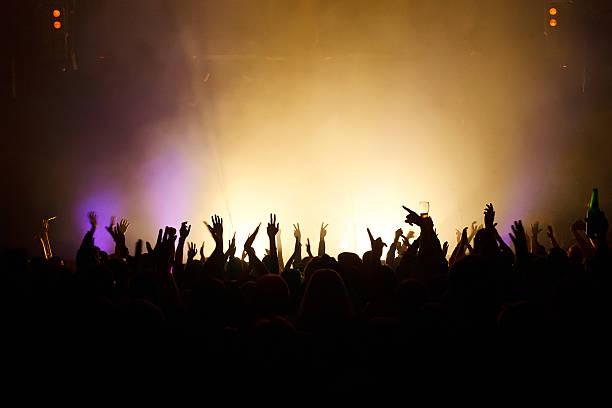 istock Hands in the air at a music concert 153205149