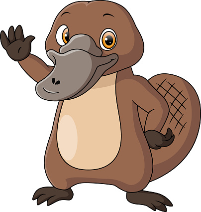 Vector illustration of Cute platypus cartoon on white background