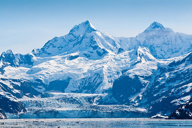 グレーシャーベイ国立公園でアラスカ - glacier bay national park ストックフォトと画像