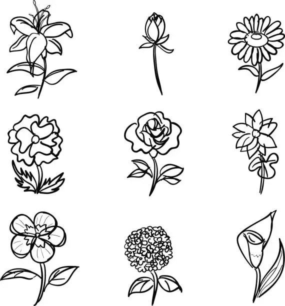 Vector illustration of Flower collection in black and white