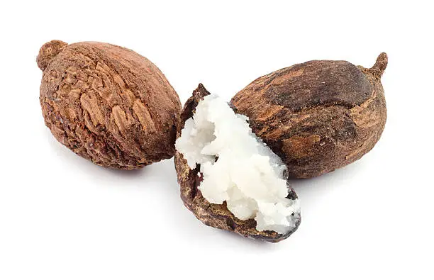 three shea nuts, one is filled with butter. Close up obtained by blending together 14 photos to maximize depth of field