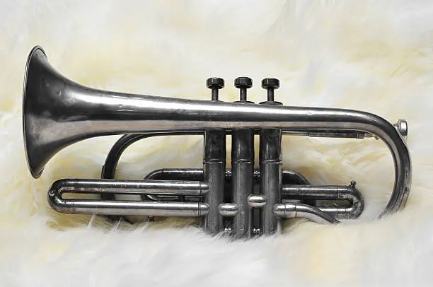 Old trumpet on white wool