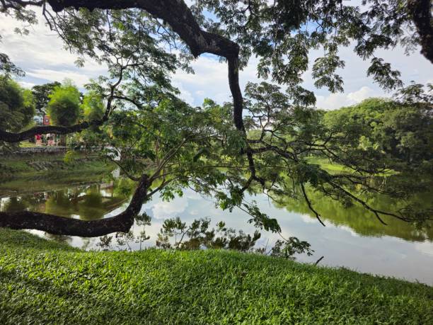istock Taiping lake garden perak malaysia 1532094352