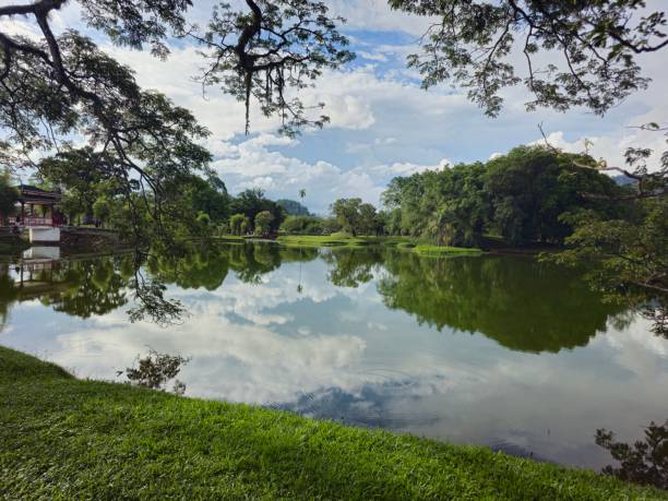 istock Taiping lake garden perak malaysia 1532096029