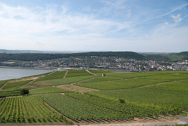 istock green vineyard and towns 153210799