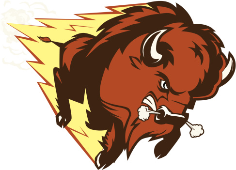 An angry buffalo mascot