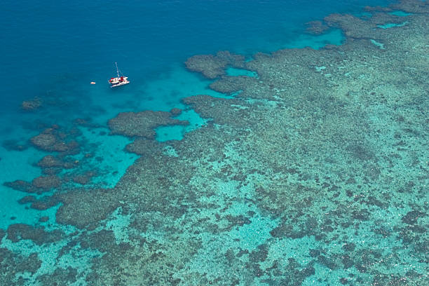 Over the Great Barrier Reef Aerial view of the Great Barrier Reef  with sailboat near the Reef in Australia great barrier reef photos stock pictures, royalty-free photos & images