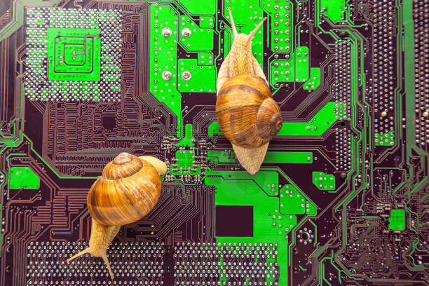 istock snail crawls on a computer electronic circuit board. The concept of a slow computer. 1532132201