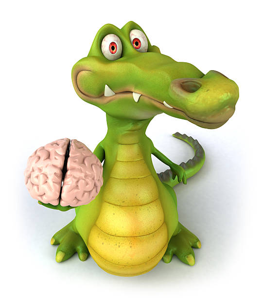 Reptilian brain stock photo