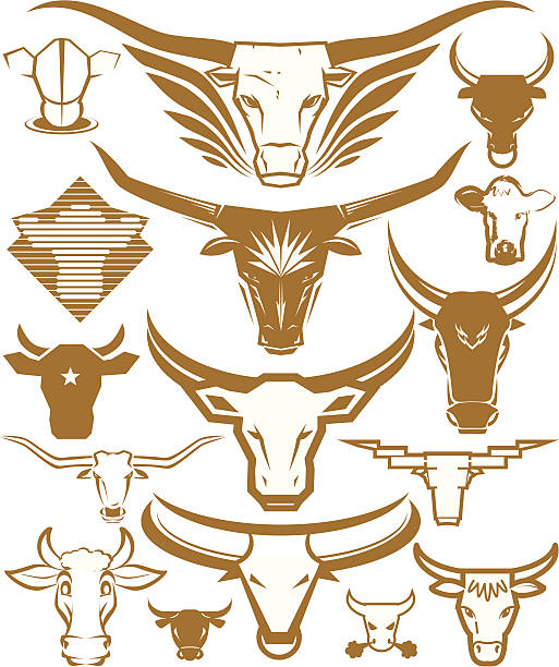 Design Elements - Cow Heads Bulls, steers, and cow head collection clip art of a cow heads stock illustrations