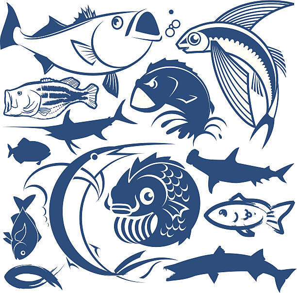 illustrazioni stock, clip art, cartoni animati e icone di tendenza di elementi di design-pesci - pesce volante immagine