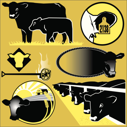 Varioustype cattle illustrations