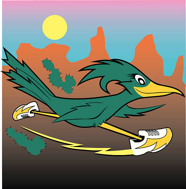 ilustrações, clipart, desenhos animados e ícones de roadrunner - roadrunner